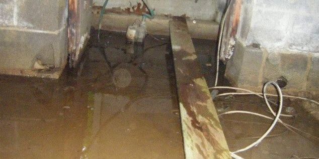 GAoxiu6i dank basement