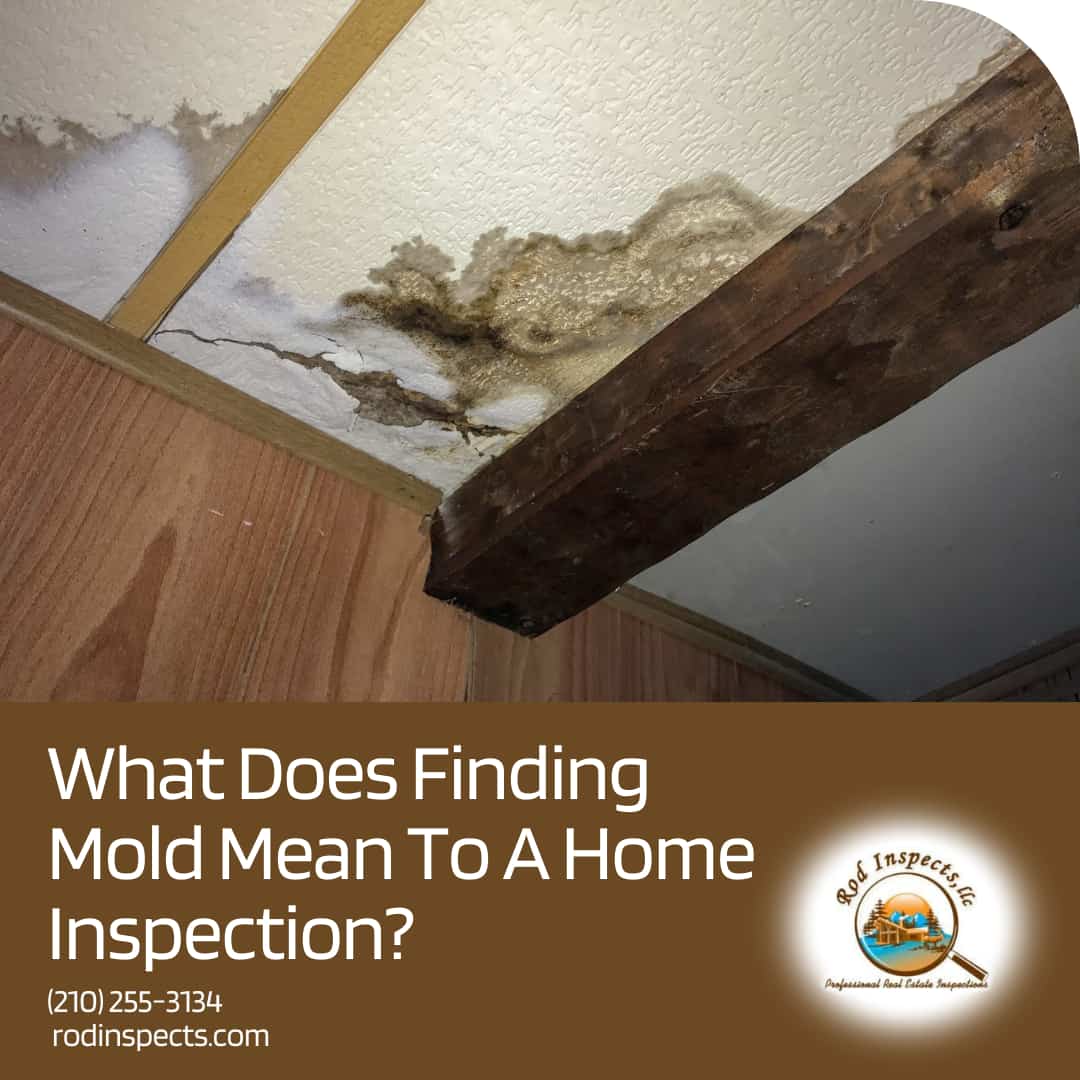 What Does Finding Mold Mean To A Home Inspection?